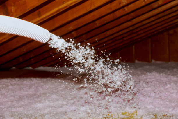 Insulation Inspection Services in Hugo, OK